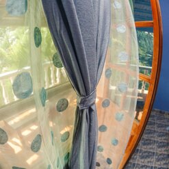 A Symphony of Color and Design