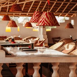 Delight in Culinary Elegance