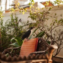 Retreat to Nature's Elegance